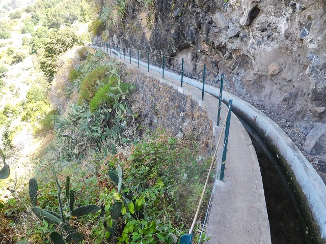17 de agosto de 2017 3 levadas no vale inferior de Tabua — Na Levada Nova até à obra da ribeira em Tabua — foto 13