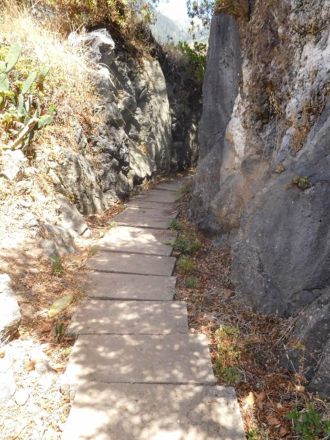 17 de agosto de 2017 3 levadas no vale inferior de Tabua — Na Levada Nova até à obra da ribeira em Tabua — foto 15