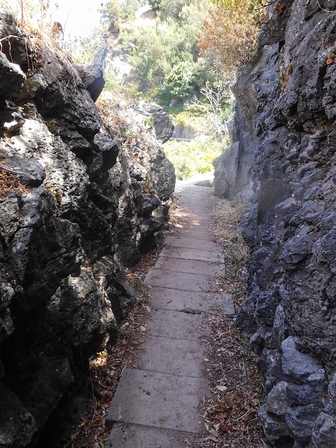 17 de agosto de 2017 3 levadas no vale inferior de Tabua — Na Levada Nova até à obra da ribeira em Tabua — foto 16
