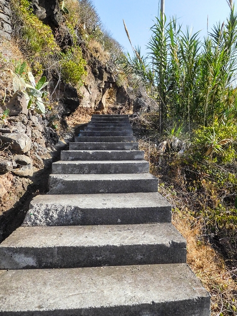 17 de agosto de 2017 3 levadas no vale inferior de Tabua — Subida da rotunda de Tabua à ER-222 e entrada na Levada das Voltas — foto 2
