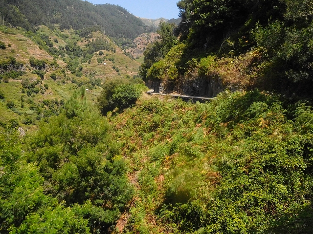 17 de agosto de 2017 3 levadas no vale inferior de Tabua — Na Levada Nova até à obra da ribeira em Tabua — foto 17