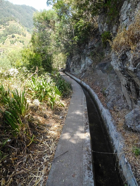 17 de agosto de 2017 3 levadas no vale inferior de Tabua — Na Levada Nova até à obra da ribeira em Tabua — foto 18