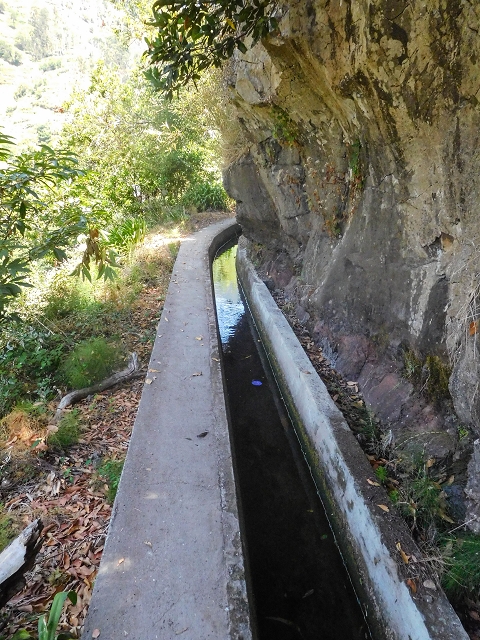 17 de agosto de 2017 3 levadas no vale inferior de Tabua — Na Levada Nova até à obra da ribeira em Tabua — foto 19