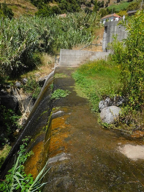 Levada Nova — Weitere Beschreibungen — Foto 44