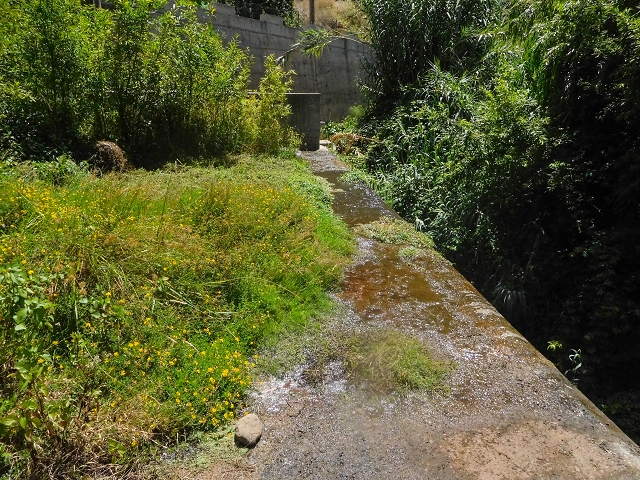 Levada Nova — Weitere Beschreibungen — Foto 42