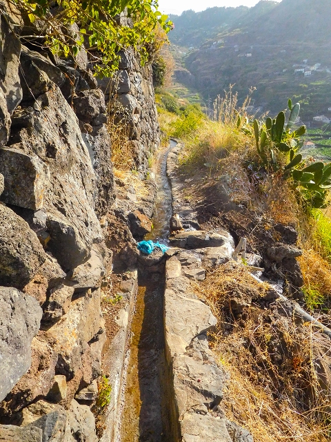 Levada das Voltas — Oberhalb der Felder aussichtsreich und genussvoll — Foto 10