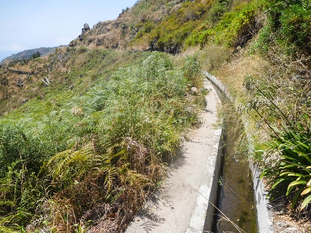 Levada Nova — Weitere Beschreibungen — Foto 38