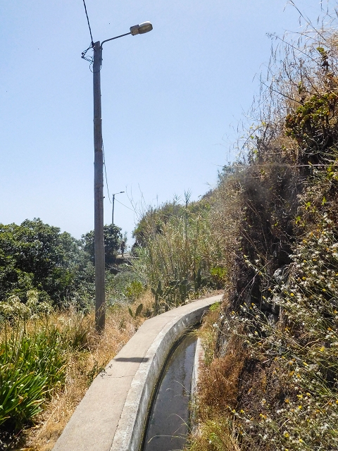 Levada Nova — Weitere Beschreibungen — Foto 37