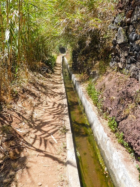 Levada Nova — Weitere Beschreibungen — Foto 35