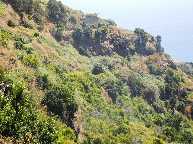 Levada da Candelaria — Foto 1