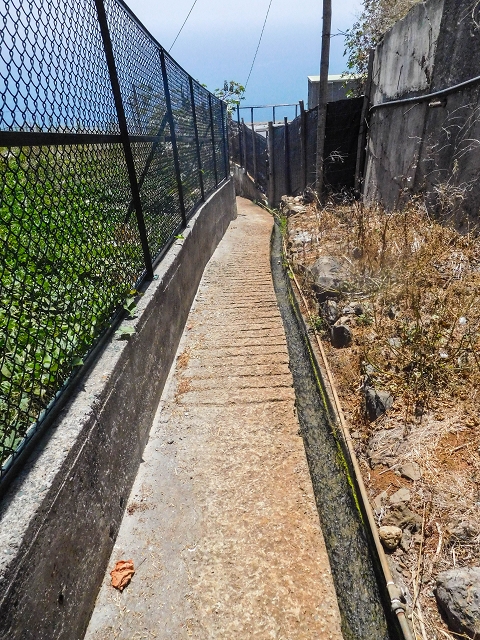 17 de agosto de 2017 3 levadas no vale inferior de Tabua — Descida pelo lombo dos Zimbreiros e regresso ao ponto de partida — foto 3
