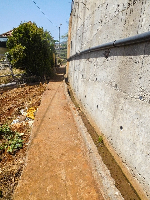 Levada da Candelaria — Foto 5