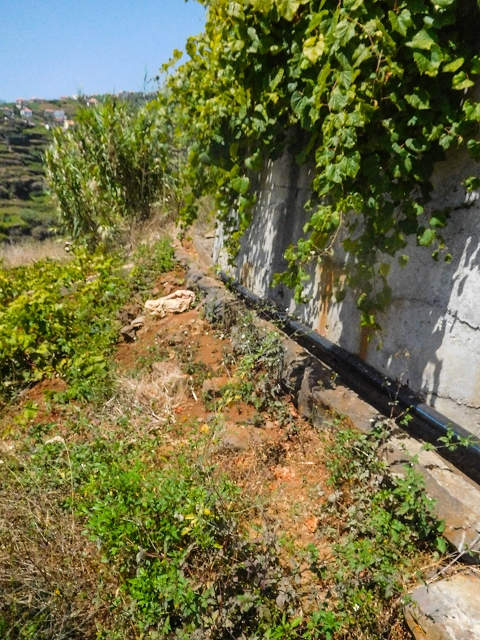 Levada da Candelaria — Foto 6