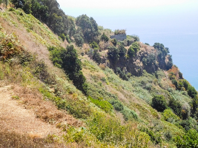 Levada da Candelaria — Foto 3