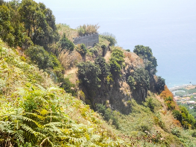 Levada da Candelaria — Foto 4