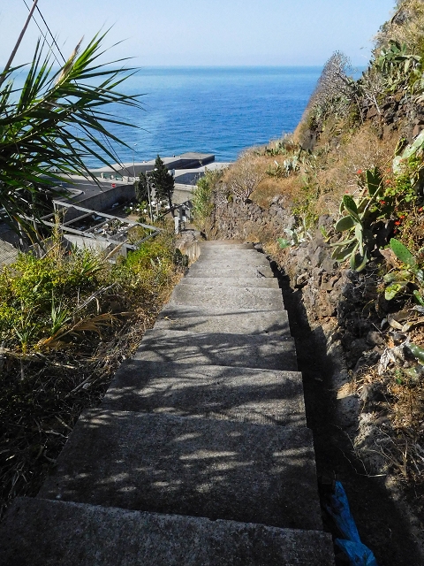 17 de agosto de 2017 3 levadas no vale inferior de Tabua — Subida da rotunda de Tabua à ER-222 e entrada na Levada das Voltas — foto 3