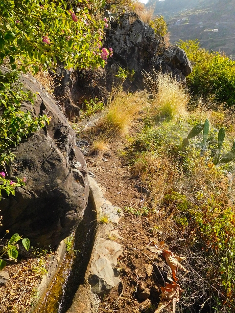 Levada das Voltas — Oberhalb der Felder aussichtsreich und genussvoll — Foto 7