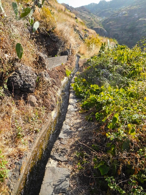 17 de agosto de 2017 3 levadas no vale inferior de Tabua — Do fim, bem caminhável até perto da estrada — foto 23