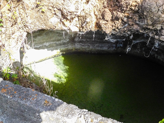 17 de agosto de 2017 3 levadas no vale inferior de Tabua — Do fim, bem caminhável até perto da estrada — foto 24
