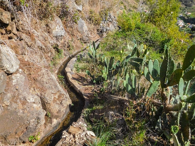 17 de agosto de 2017 3 levadas no vale inferior de Tabua — Do fim, bem caminhável até perto da estrada — foto 28