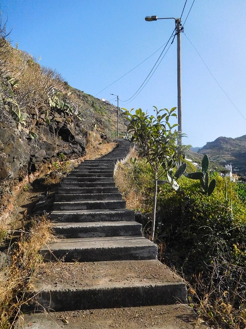 17 de agosto de 2017 3 levadas no vale inferior de Tabua — Subida da rotunda de Tabua à ER-222 e entrada na Levada das Voltas — foto 4