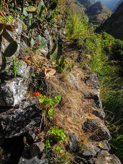 Levada das Voltas — Oberhalb der Felder aussichtsreich und genussvoll — Foto 3