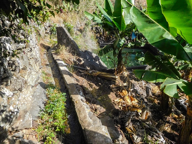 17 de agosto de 2017 3 levadas no vale inferior de Tabua — Do fim, bem caminhável até perto da estrada — foto 33