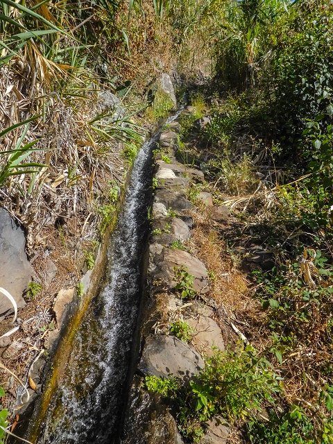 Levada das Voltas — Oberhalb der Felder aussichtsreich und genussvoll — Foto 2