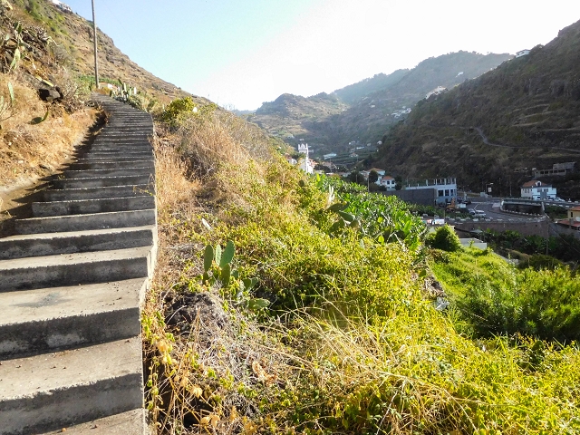 17 de agosto de 2017 3 levadas no vale inferior de Tabua — Subida da rotunda de Tabua à ER-222 e entrada na Levada das Voltas — foto 5