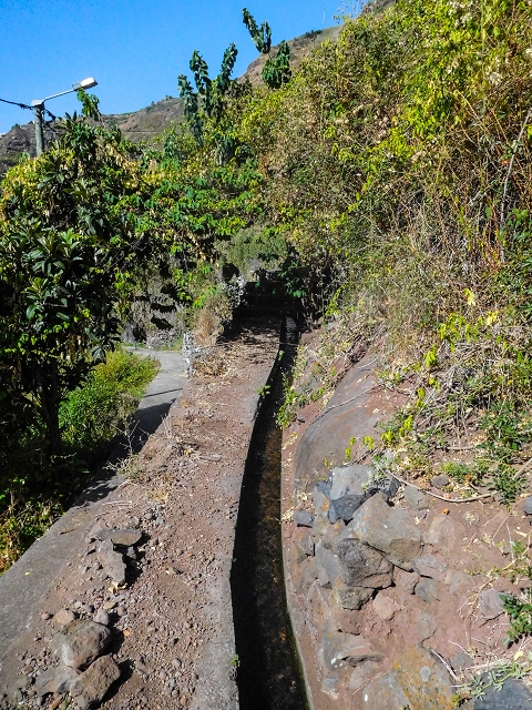 Levada das Voltas — Weiter teilweise im Wald — Foto 3