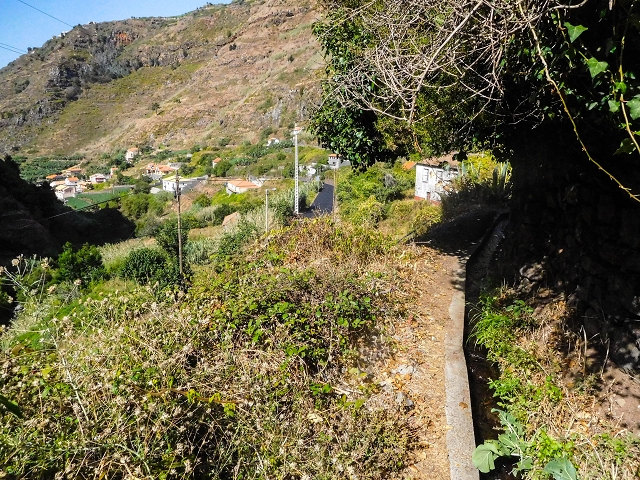 Levada das Voltas — Weiter teilweise im Wald — Foto 2