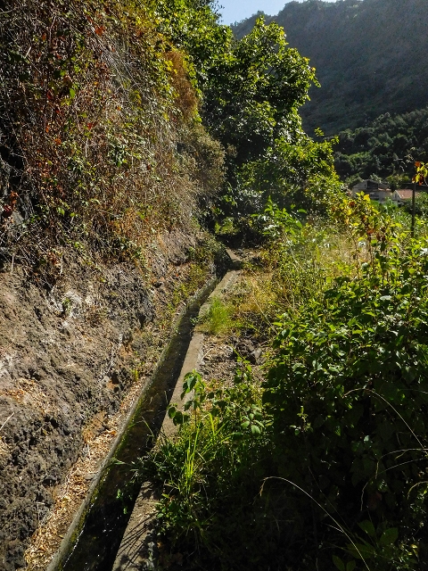 Levada das Voltas — Weiter teilweise im Wald — Foto 1