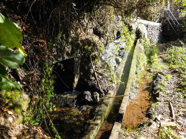 Levada das Voltas — Das anspruchsvolle Stück — Foto 10
