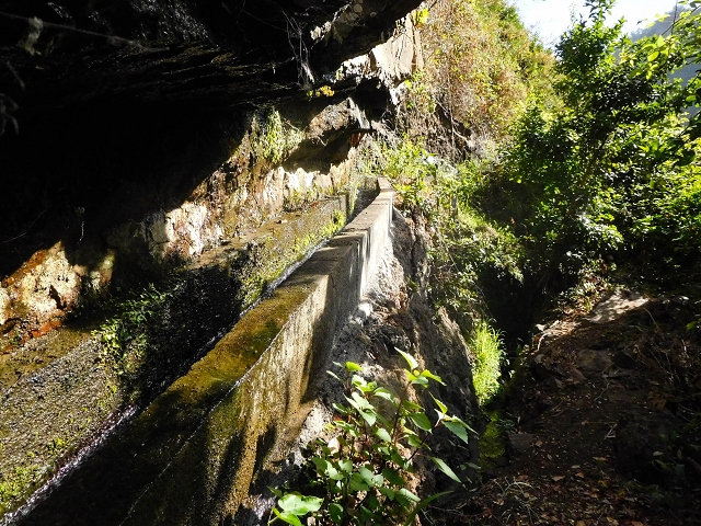 17 de agosto de 2017 3 levadas no vale inferior de Tabua — Troço um pouco mais áspero até à descida possível antes da Madre — foto 22