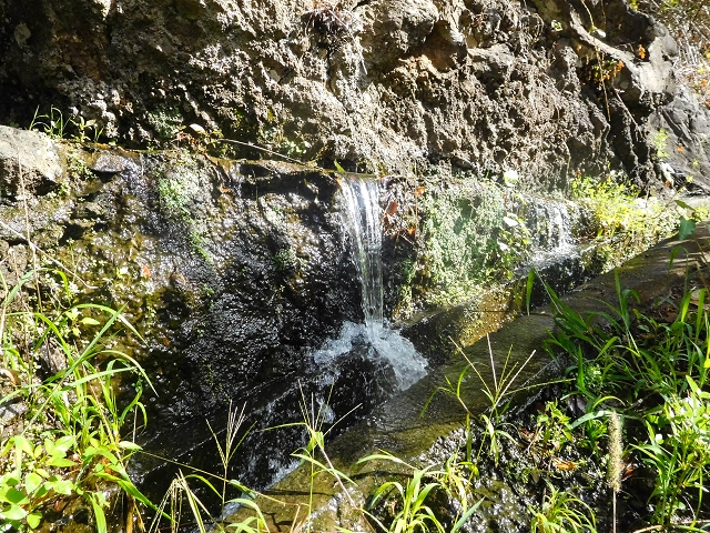 Levada das Voltas — Das anspruchsvolle Stück — Foto 4