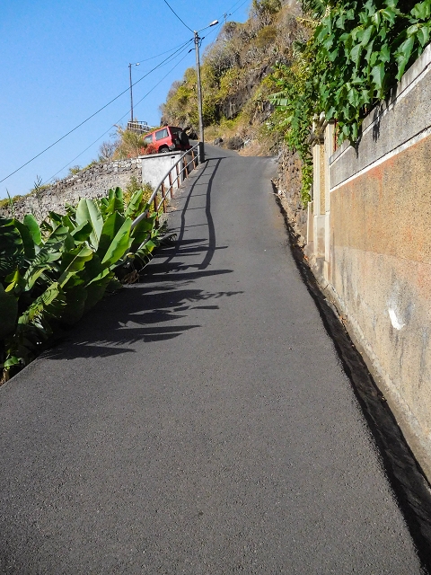 17 de agosto de 2017 3 levadas no vale inferior de Tabua — Subida da rotunda de Tabua à ER-222 e entrada na Levada das Voltas — foto 7