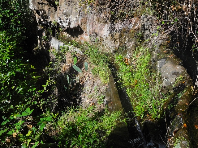 Levada das Voltas — Das anspruchsvolle Stück — Foto 3