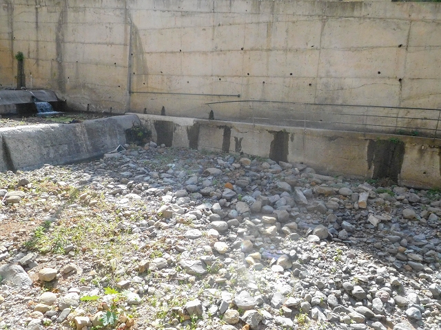 Levada das Voltas — Doppelmadre in der Ribeira da Tabua zusammen mit der Levada da Corujeira — Foto 3