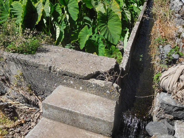 Levada das Voltas — Zuführende Levada mit Wassermühle — Foto 3