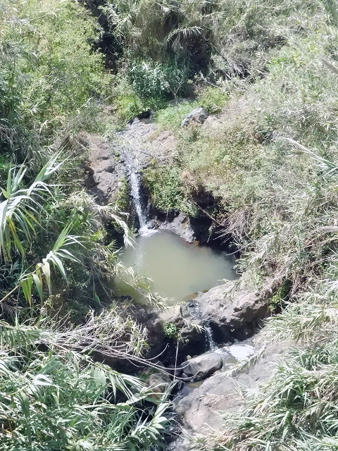 18 June 2016 Levada da Azenha — From Canico to the old watermill — photo 1