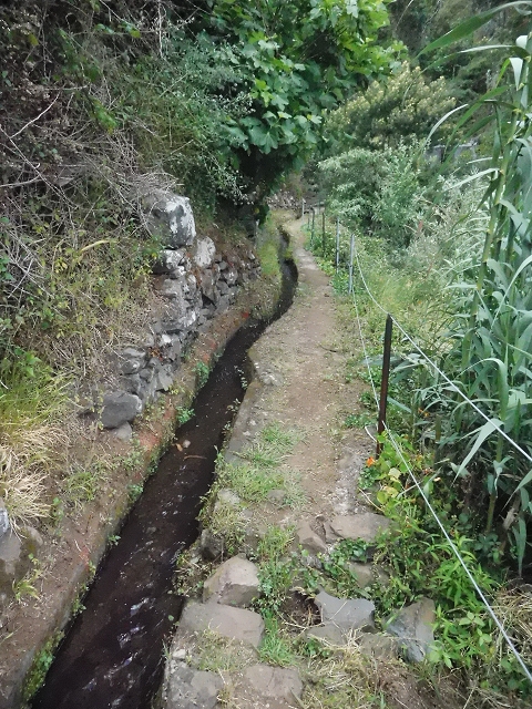 18 June 2016 Levada da Azenha — From Canico to the old watermill — photo 10