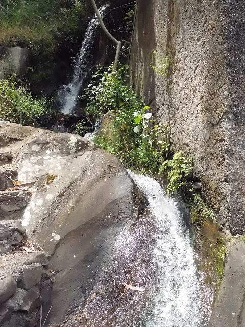 18 June 2016 Levada da Azenha — From Canico to the old watermill — photo 13