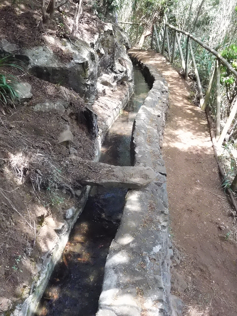 18 June 2016 Levada da Azenha — To the intermediate Madre and back to the wooden bridge — photo 3