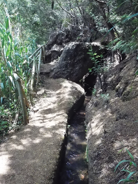 18 June 2016 Levada da Azenha — To the intermediate Madre and back to the wooden bridge — photo 6