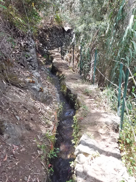 18 June 2016 Levada da Azenha — To the intermediate Madre and back to the wooden bridge — photo 8