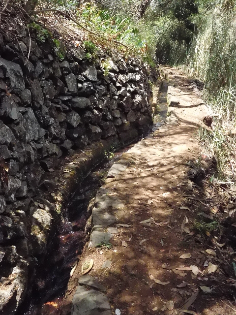 18 June 2016 Levada da Azenha — To the intermediate Madre and back to the wooden bridge — photo 9
