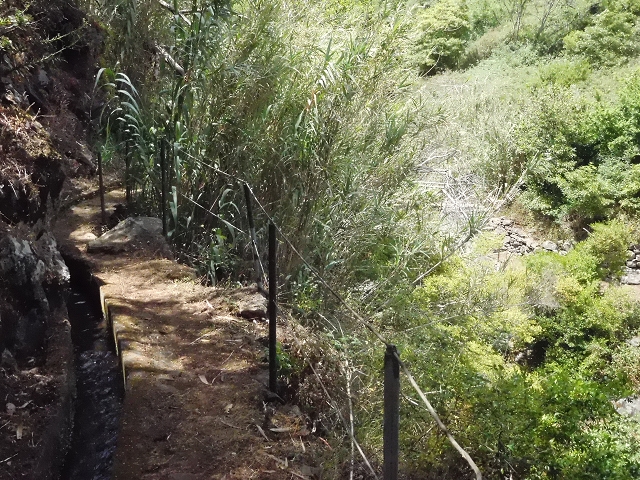 18 June 2016 Levada da Azenha — To the intermediate Madre and back to the wooden bridge — photo 10