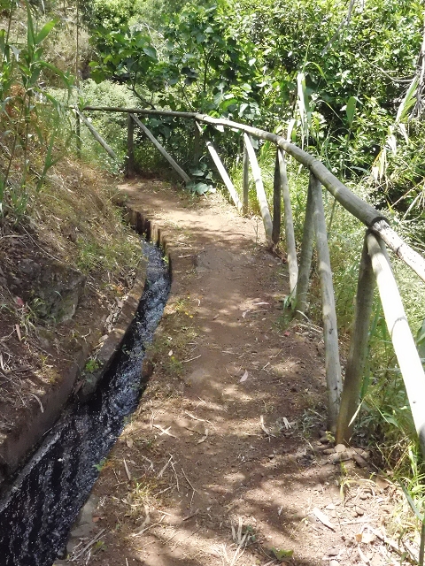 18 June 2016 Levada da Azenha — To the intermediate Madre and back to the wooden bridge — photo 11