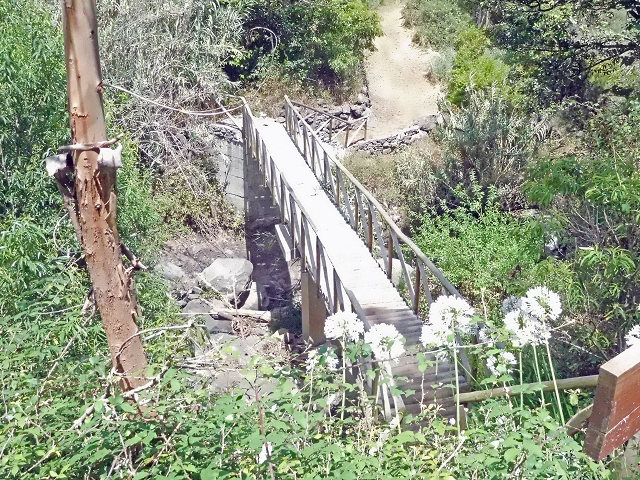 18 June 2016 Levada da Azenha — To the intermediate Madre and back to the wooden bridge — photo 13