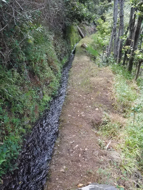 18 June 2016 Levada da Azenha — To the intermediate Madre and back to the wooden bridge — photo 14